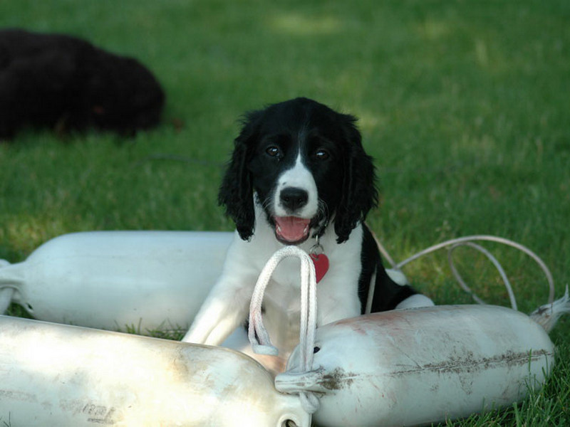 Photos 1000 1225 Monaghan 2008 12 02  1029